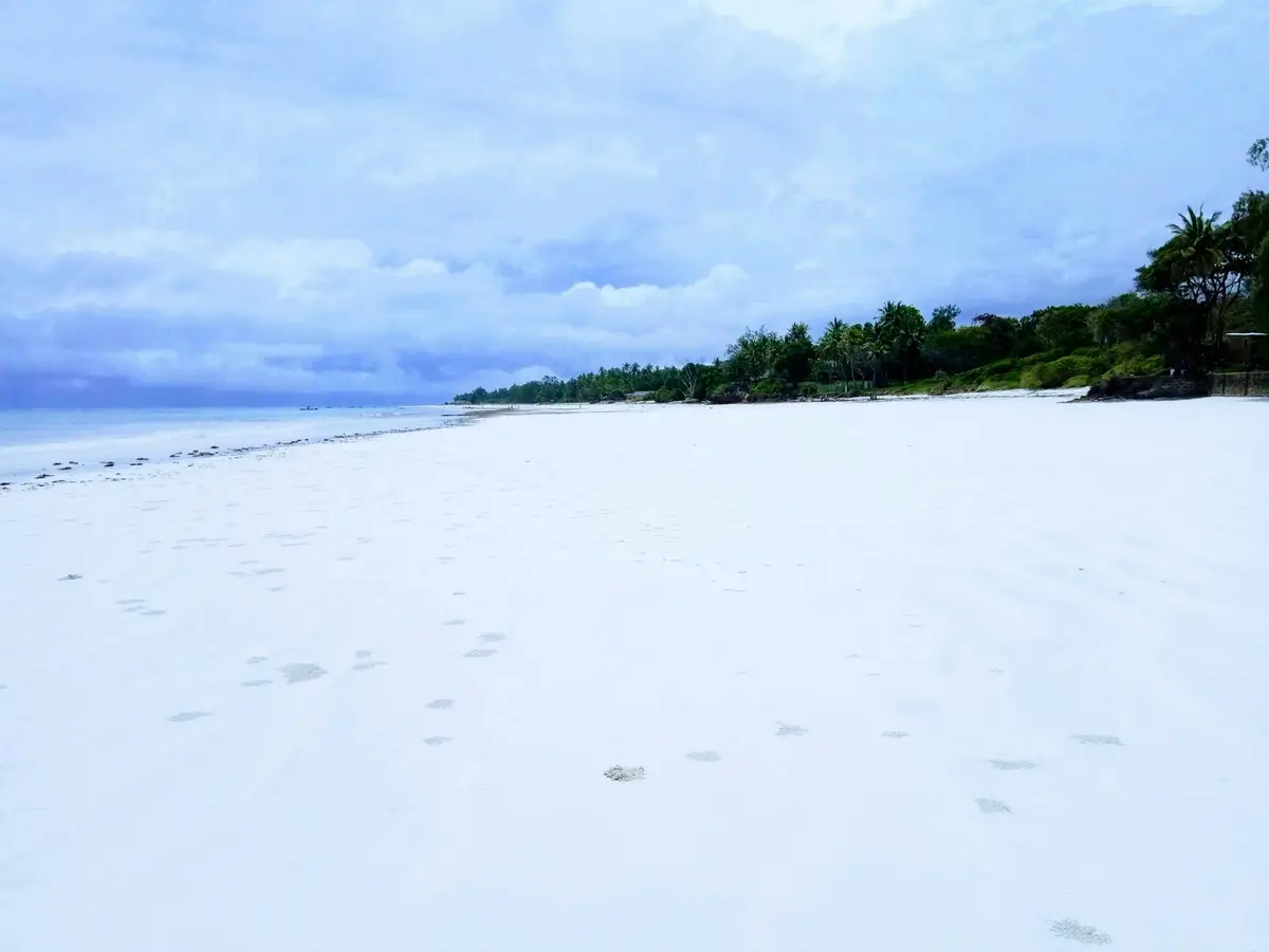 Biały piasek i palmy na plaży Diani