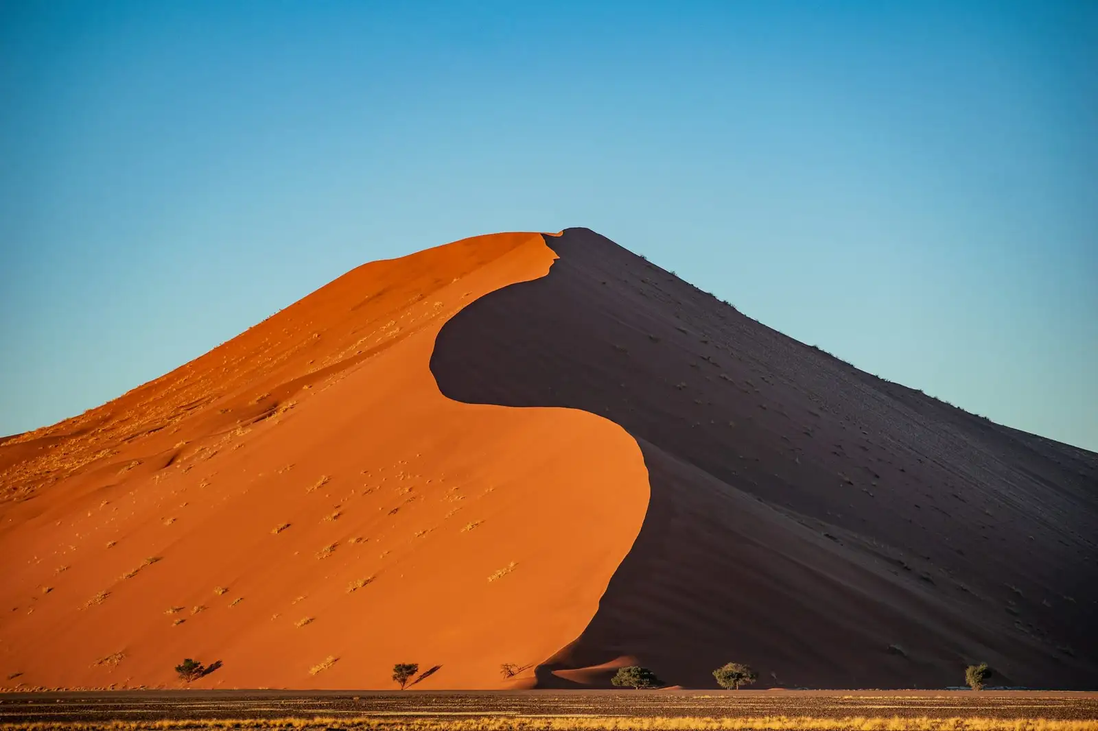 Czerwona wydma w rejonie Sossusvlei na pustyni Namib