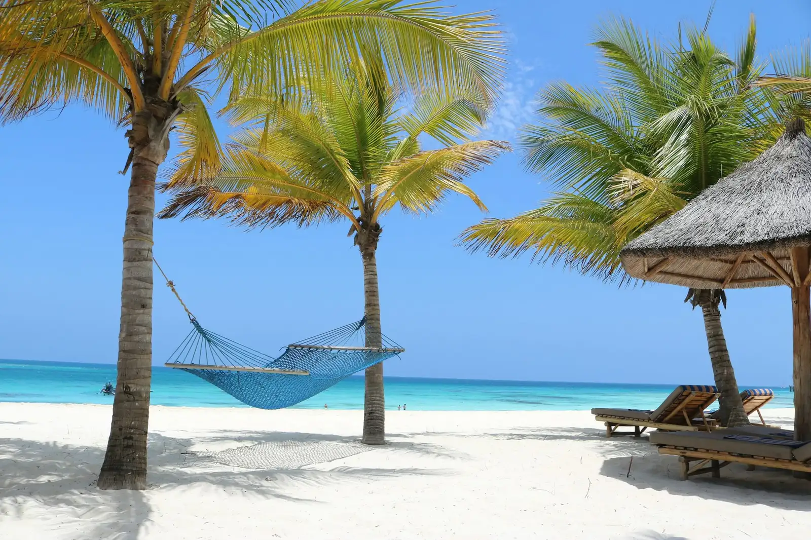 Hamak między palmami na białej plaży Zanzibaru