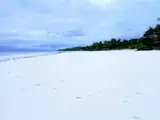 Biały piasek i palmy na plaży Diani