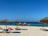 Plaża na Dżerbie z parasolami i wielbłądami