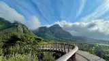 Kładka w koronach drzew w ogrodzie Kirstenbosch pod Górą Stołową