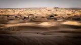 Fale wydm Wielkiego Ergu Wschodniego przy Ksar Ghilane