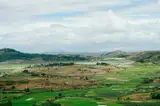 Zielone pola ryżowe na płaskowyżu koło Antananarywy