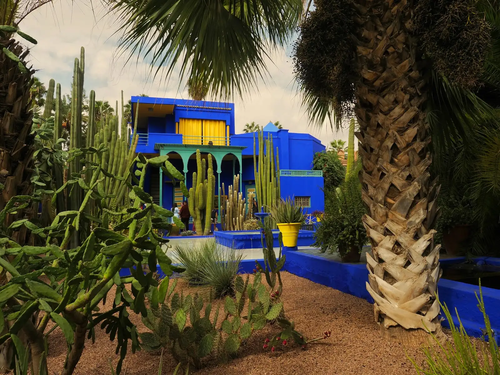 Niebieska willa i kaktusy w Ogrodzie Majorelle w Marrakeszu