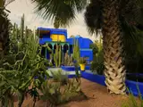Niebieska willa i kaktusy w Ogrodzie Majorelle w Marrakeszu