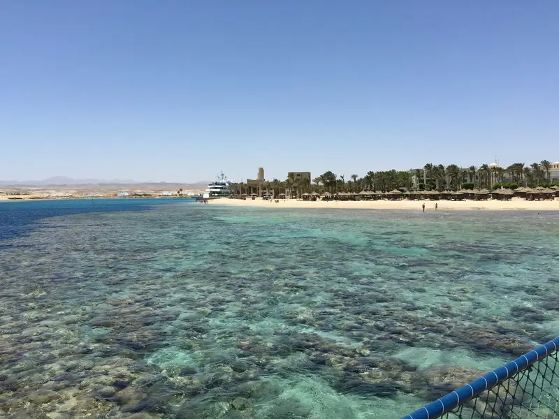 Płytka rafa i plaża z palmami w Port Ghalib koło Marsa Alam
