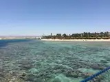 Płytka rafa i plaża z palmami w Port Ghalib koło Marsa Alam