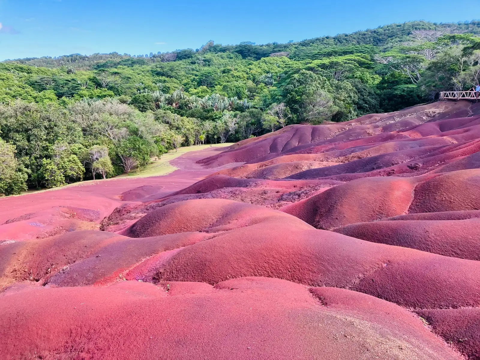 Siedmiokolorowa Ziemia w Chamarel na Mauritiusie