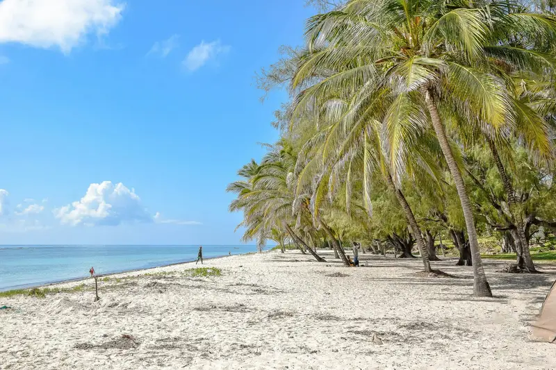 Biała plaża z palmami na wybrzeżu koło Mombasy