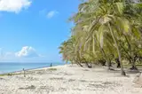 Biała plaża z palmami na wybrzeżu koło Mombasy