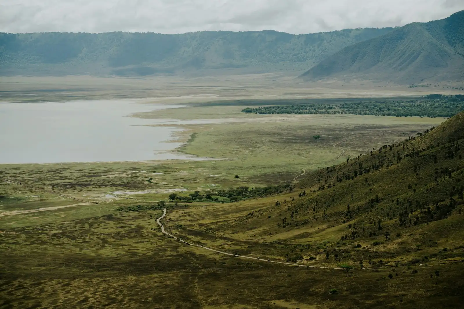 Widok z krawędzi krateru Ngorongoro