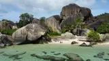 Granitowe głazy na plaży Anse Source d'Argent na La Digue