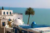 Biało-niebieskie domy Sidi Bou Said nad Zatoką Tunezyjską