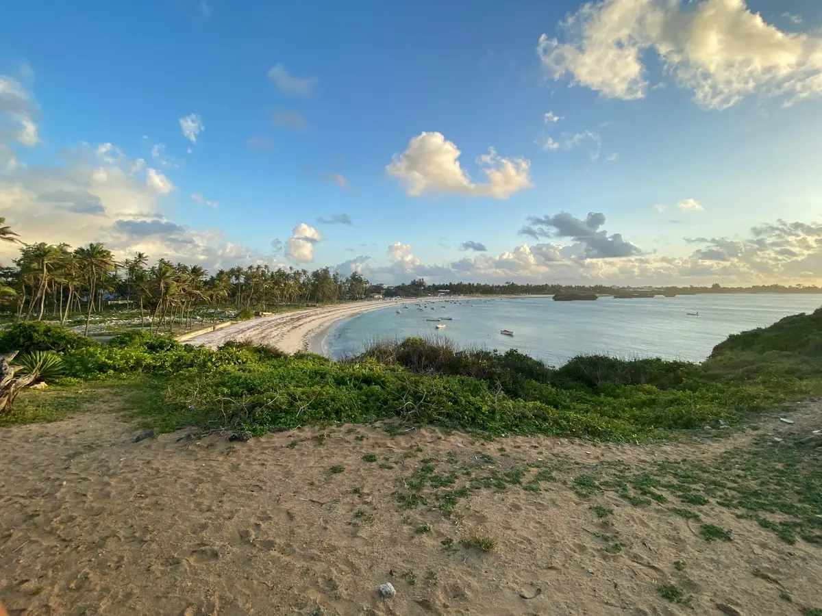 Zatoka z plażą i palmami w Watamu