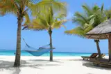 Hamak między palmami na białej plaży Zanzibaru
