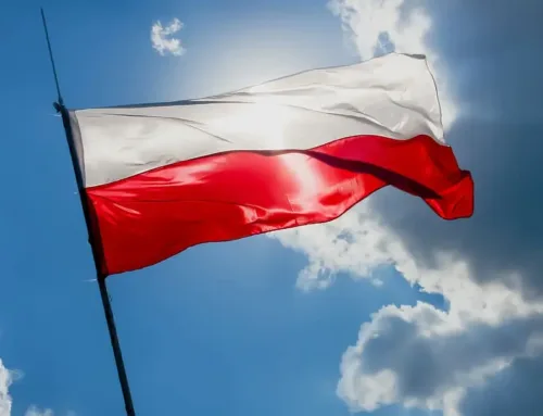 Why You Should Consider Polish Translations for Your Software